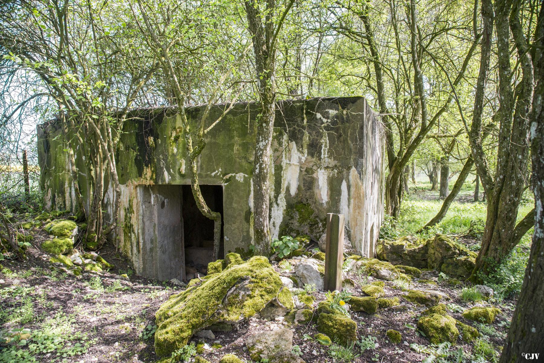 Ligne Maginot - DB327 - HAIE AUX MURES 1 - (Blockhaus pour canon) - L'entrée du matériel - Lia VERMEULEN