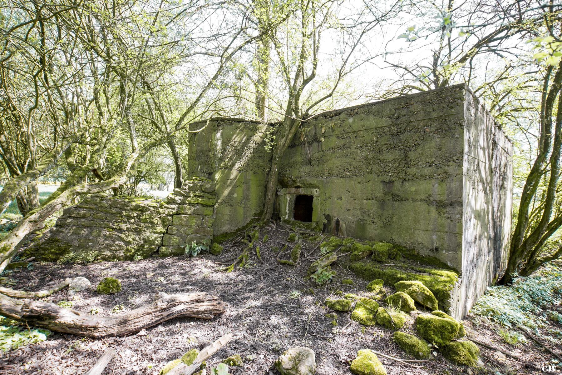 Ligne Maginot - DB328 - HAIE AUX MURES 2 - (Blockhaus pour arme infanterie) -  - Lia VERMEULEN
