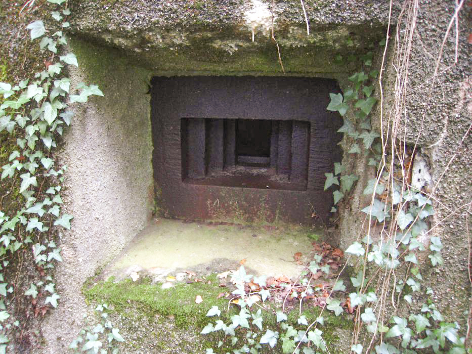 Ligne Maginot - DB329 - BOIS DE LA HEURETTE EST - (Blockhaus pour canon) - Vue rapprochée du créneau - Pruzsina Jérome