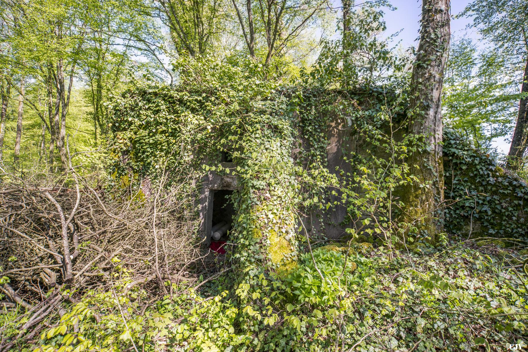 Ligne Maginot - DB329 - BOIS DE LA HEURETTE EST - (Blockhaus pour canon) - L'entrée - Lia VERMEULEN
