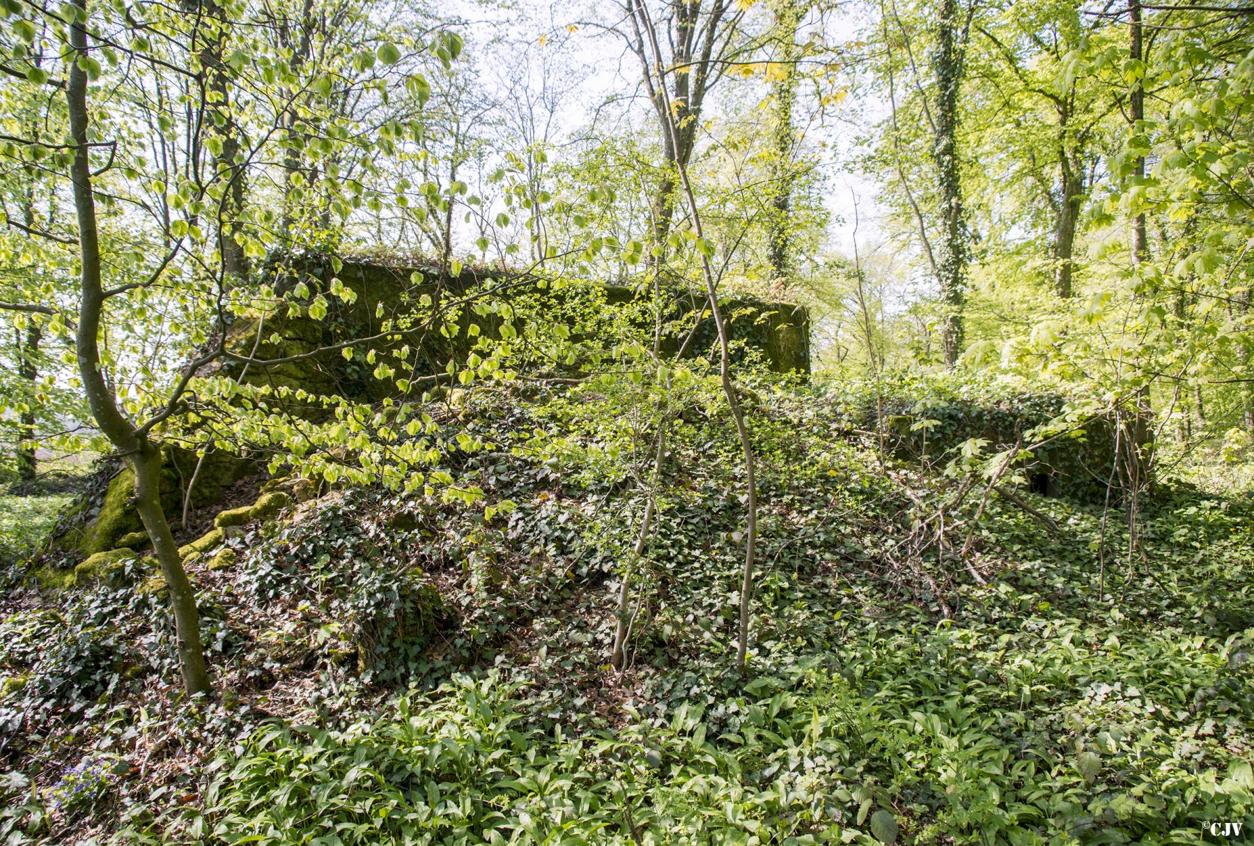 Ligne Maginot - DB329 - BOIS DE LA HEURETTE EST - (Blockhaus pour canon) - Le blockhaus et son petit annexe - Lia VERMEULEN