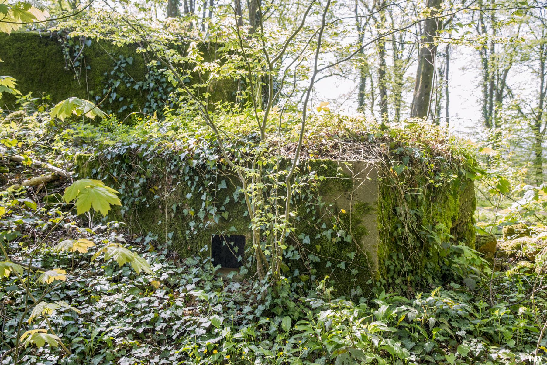 Ligne Maginot - DB329 - BOIS DE LA HEURETTE EST - (Blockhaus pour canon) - L'annexe - Lia VERMEULEN