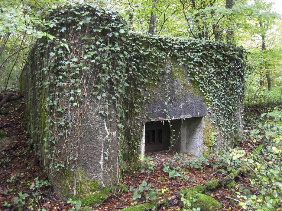 Ligne Maginot - DB330 - BOIS DE LA HEURETTE CENTRE - (Blockhaus pour arme infanterie) - Vue de la face avant - Pruzsina Jérome