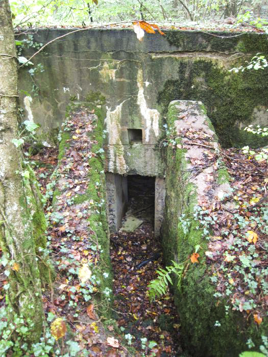 Ligne Maginot - DB330 - BOIS DE LA HEURETTE CENTRE - (Blockhaus pour arme infanterie) - Vue de  la tranchée menant à l'entrée - Pruzsina Jérome