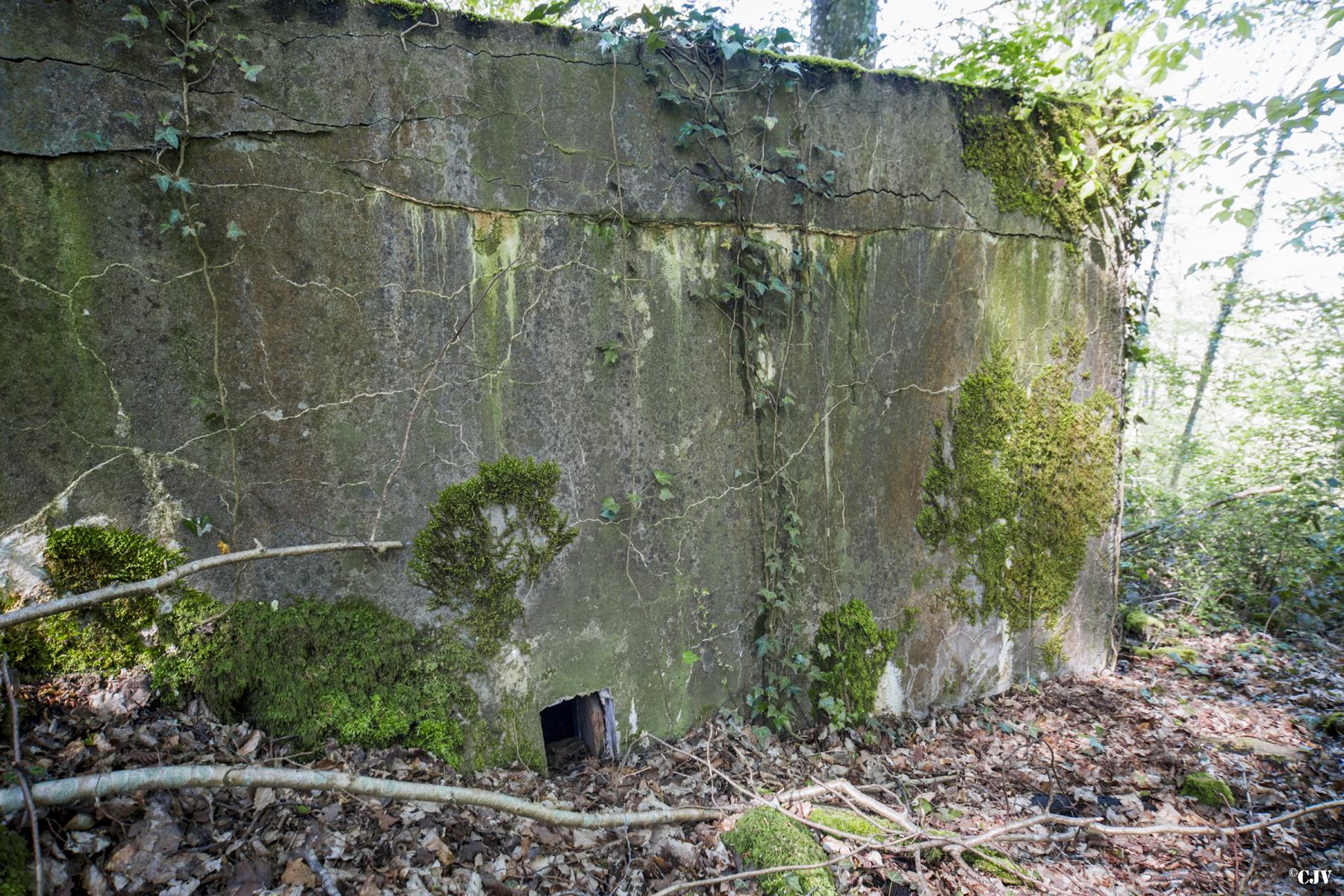 Ligne Maginot - DB330 - BOIS DE LA HEURETTE CENTRE - (Blockhaus pour arme infanterie) -  - Lia VERMEULEN