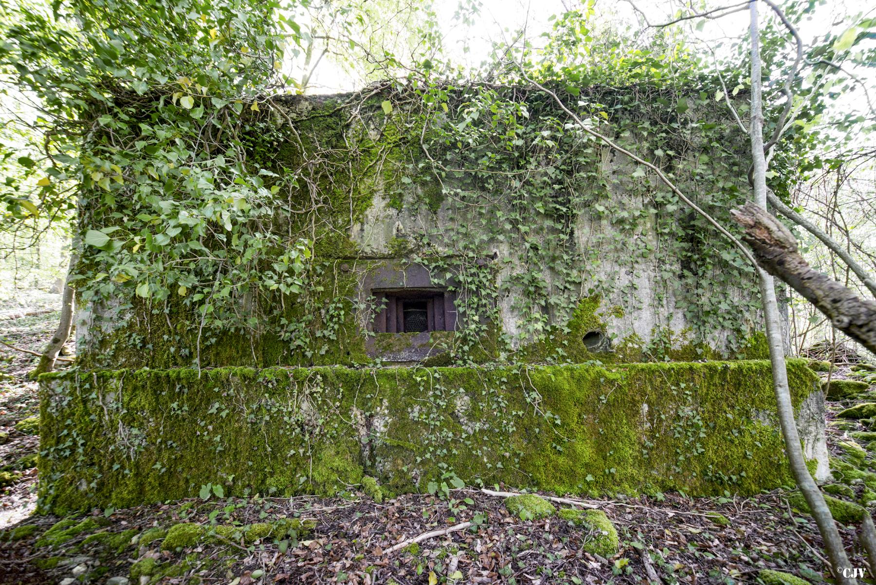 Ligne Maginot - DB331 - BOIS DE LA HEURETTE OUEST - (Blockhaus pour arme infanterie) -  - Lia VERMEULEN