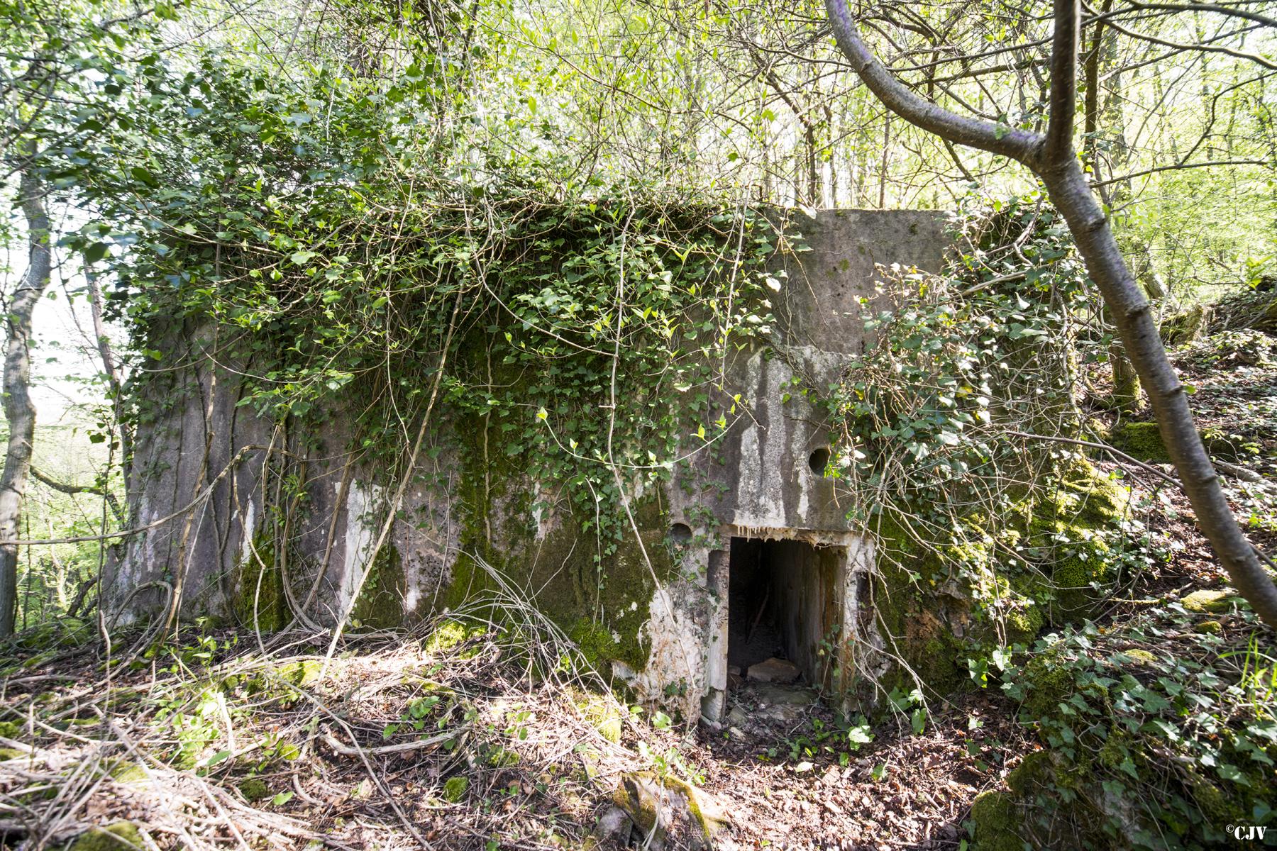 Ligne Maginot - DB331 - BOIS DE LA HEURETTE OUEST - (Blockhaus pour arme infanterie) -  - Lia VERMEULEN