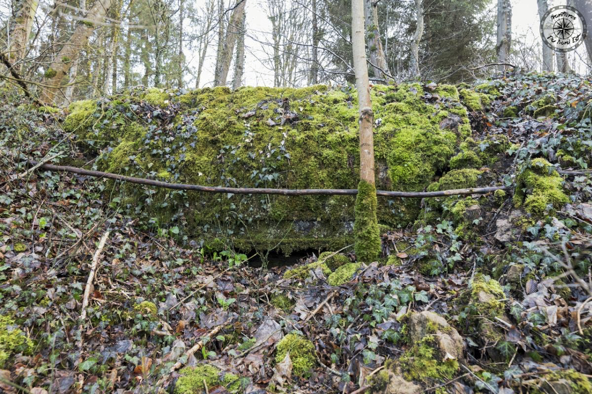 Ligne Maginot - GRANDS COTES - (Blockhaus pour arme infanterie) -   - Thierry Caland