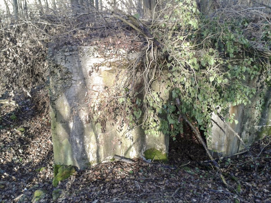 Ligne Maginot - DB335 - GRANDS COTES OUEST - (Blockhaus pour canon) - Vue depuis le talus, l'entrée. - Christian RICHON/devoitine520