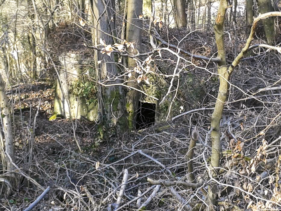 Ligne Maginot - DB335 - GRANDS COTES OUEST - (Blockhaus pour canon) - Ouvrage en contrebas de la route de Longuyon à Marville. Talus escarpé et encombré d'arbres abattus. - Christian RICHON/devoitine520