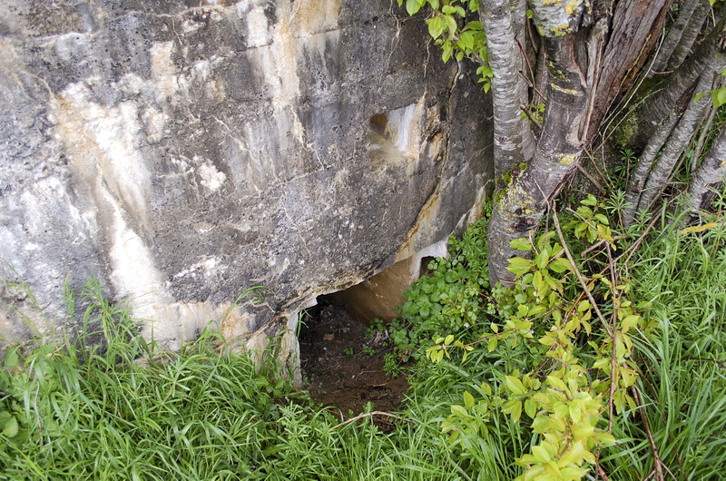 Ligne Maginot - DB349 - BEUVEILLE - (Blockhaus pour arme infanterie) - L'entrée à l'arrière est quasiment remblayée... - Christian RICHON - Devoitine 520