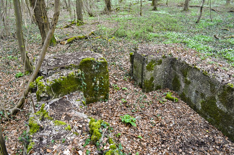 Ligne Maginot - DB377 - BOIS DE GRANDCHAMPS - (Blockhaus pour canon) -  - Pruzsina Jérome