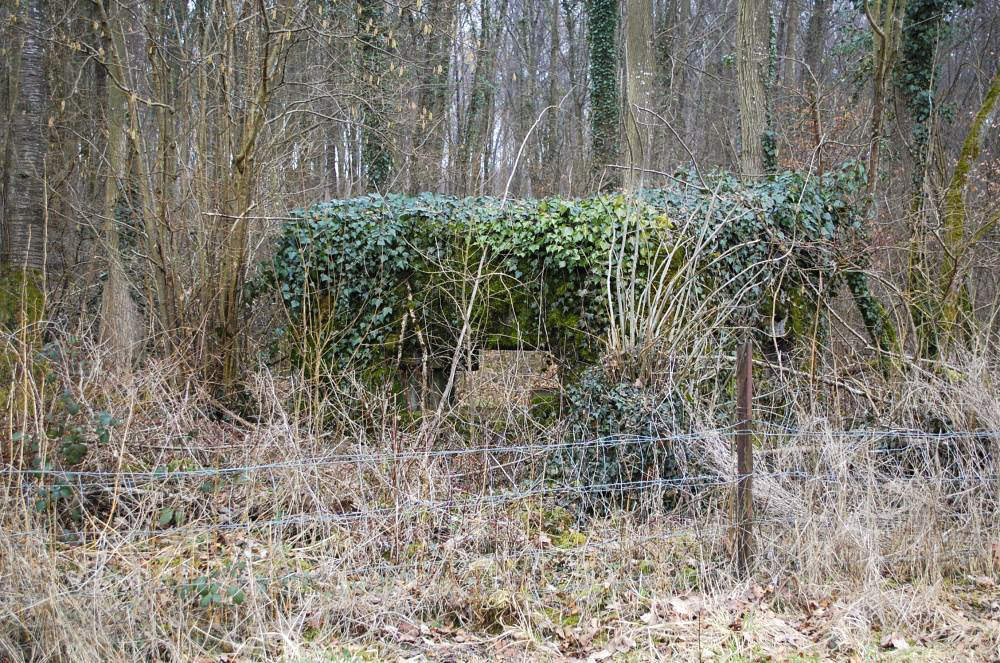 Ligne Maginot - Dbo11 ( Blockhaus pour canon ) - A la sortie de LONGUYON sur la route qui va vers Etain, en bordure de la forêt cet ouvrage est difficilement visible de loin. Là aussi la nature reprend ses droits. - Christian RICHON/devoitine520