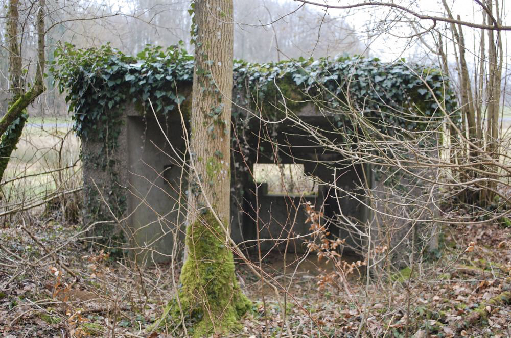 Ligne Maginot - Dbo11 ( Blockhaus pour canon ) - L'ouvrage de derrière vers le créneau de tir - Christian RICHON/devoitine520