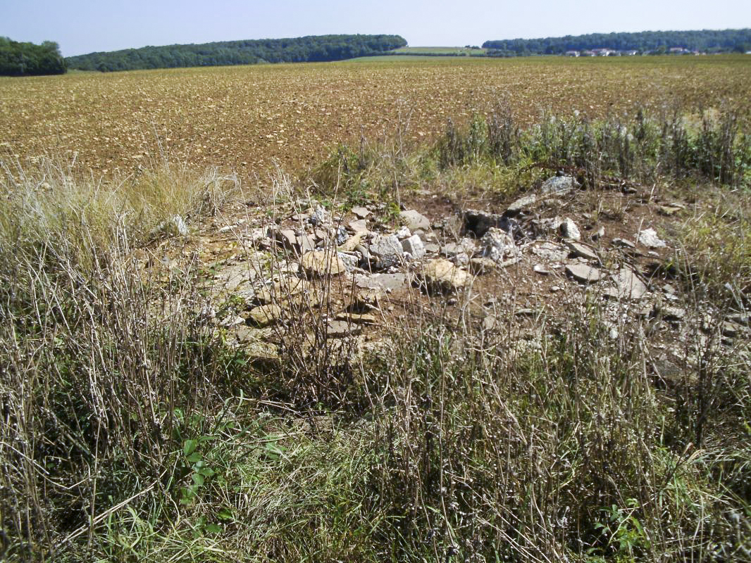 Ligne Maginot - Cuve pour tourelle démontable Dt24 - La GRANDE VOLIERE - Cette cuve est en plein champ et quasiment inaccessible à cause des cultures mais aujourd'hui les moissons ayant été faites on peut y arriver... Mais le spectacle est plutôt décevant, tout n'est que ruine et dépotoir... - Christian RICHON / Devoitine520
