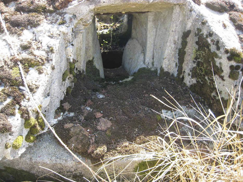 Ligne Maginot - DT25 - (Cuve pour arme d'infanterie) -  - Pruzsina jerome