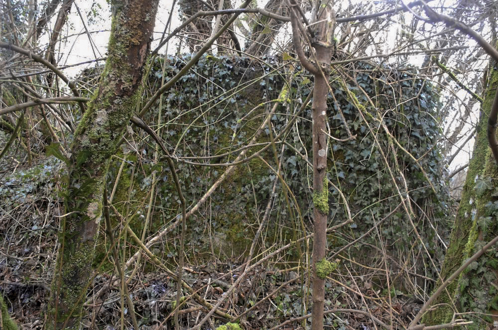 Ligne Maginot - Dt 34 - RAUER NORD - A première vue face à cet ouvrage on ne distingue qu'un socle de béton couvert de lierre et de mousse. Rien de bien menaçant. - Christian RICHON/devoitine520