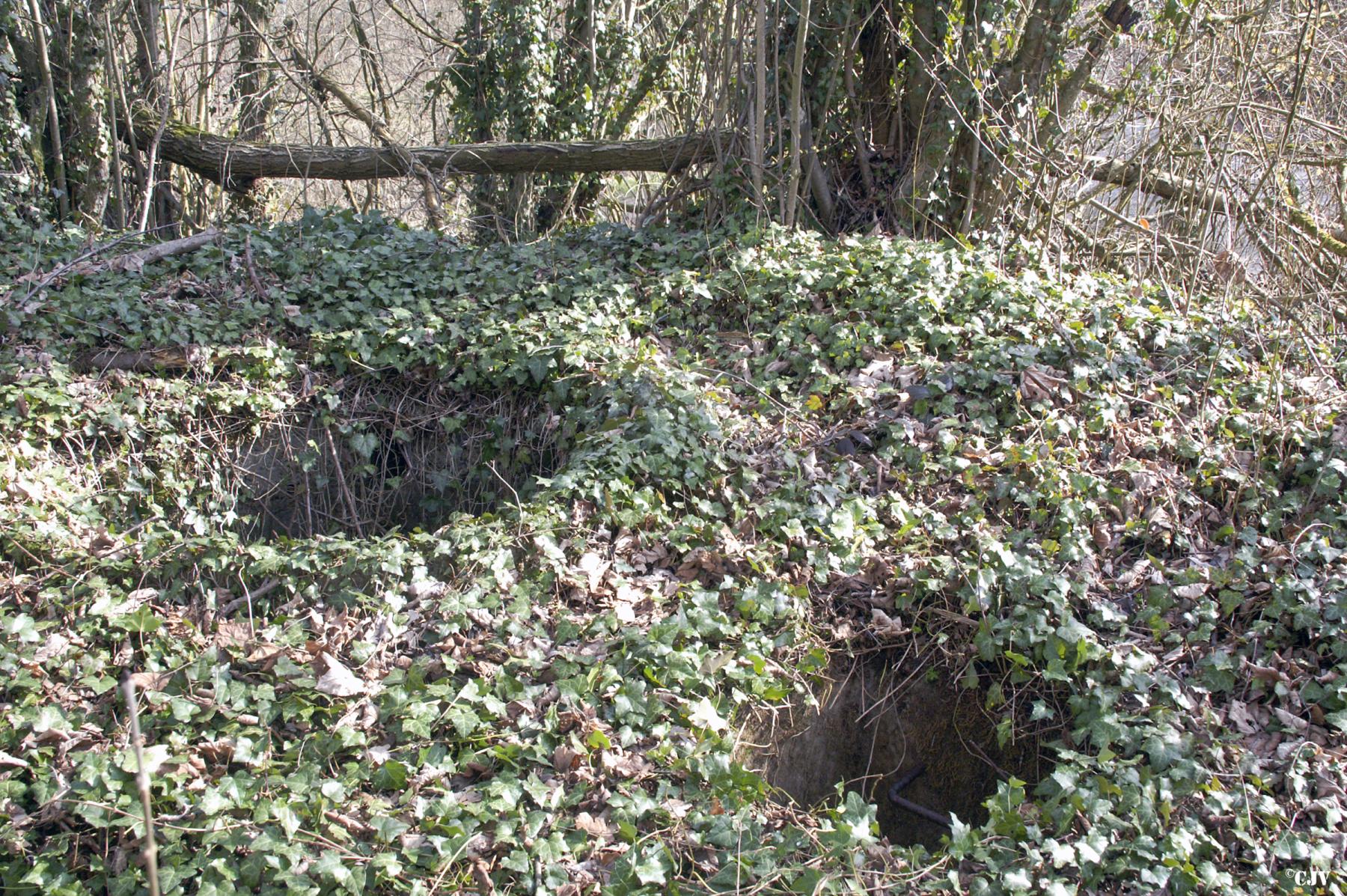 Ligne Maginot - DT34 - RAUER NORD - (Cuve pour arme d'infanterie) - Et quand on va plus haut vers le centre de la butte on découvre deux trous. Un carré avec des barreaux d'échelle scellés dans le mur: un accès à l'ouvrage - Lia VERMEULEN
