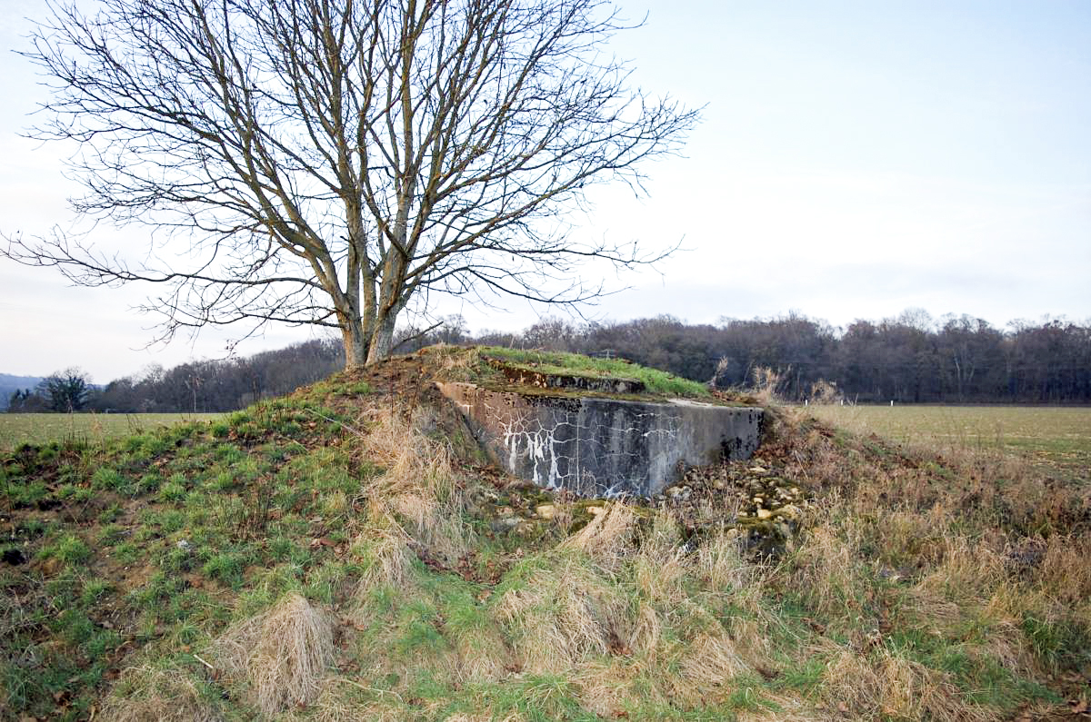 Ligne Maginot - DT262 - FROIDCUL OUEST - (Cuve pour arme d'infanterie) - Vue de l'ouvrage.
L'entrée quasiment comblée se situait à gauche de la façade - Christian RICHON / Devoitine520