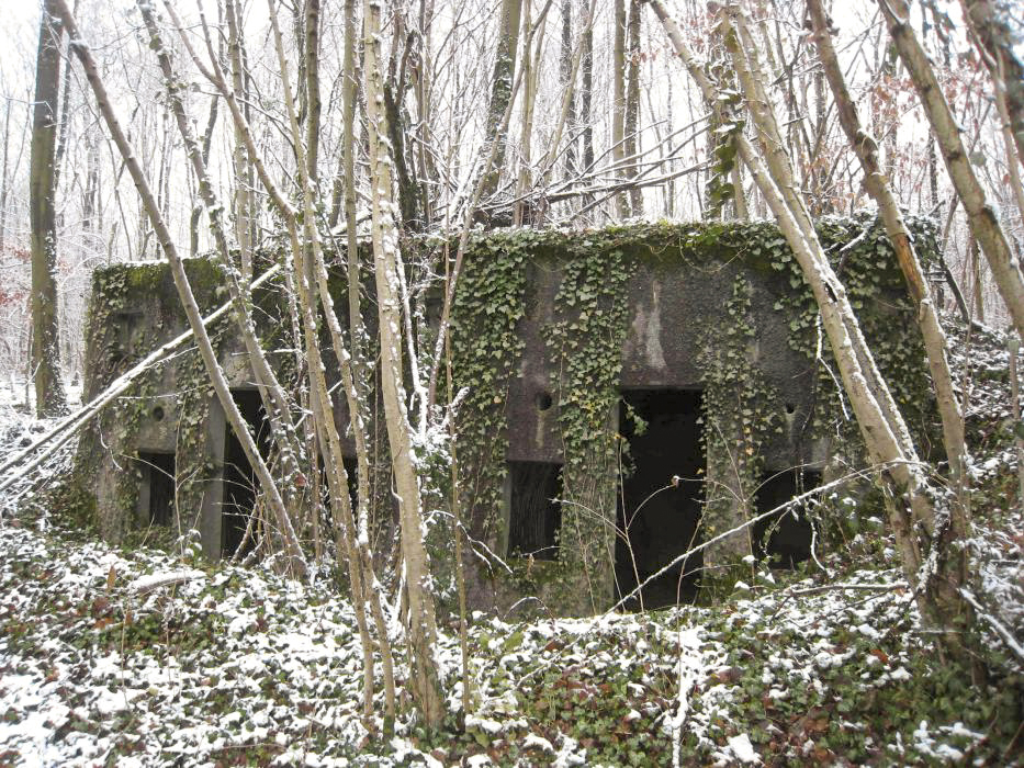 Ligne Maginot - GRAND BOIS EST - (PC) -  - Pruzsina Jérome