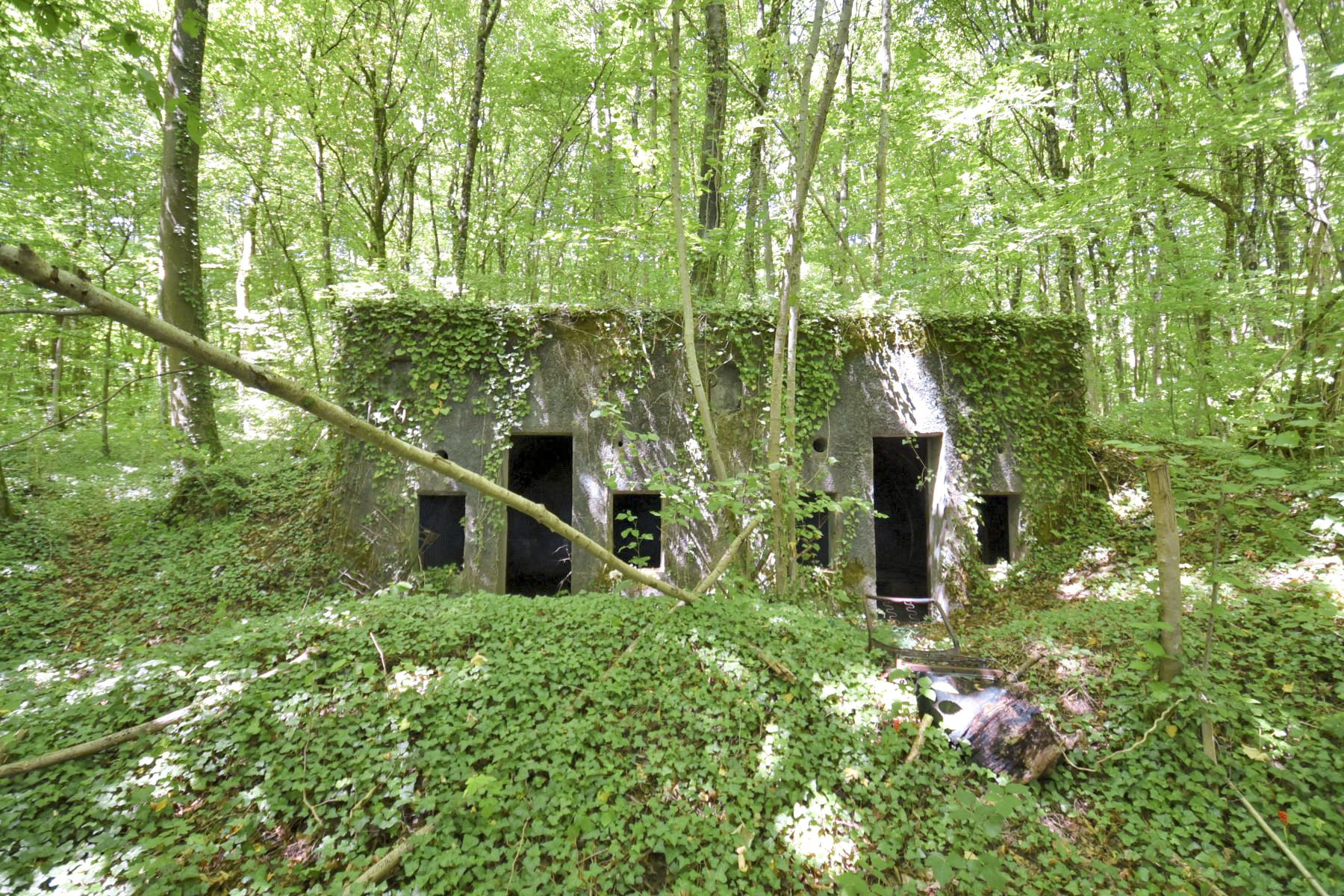 Ligne Maginot - GRAND BOIS EST - (PC) -  - Ludovic KNAPP