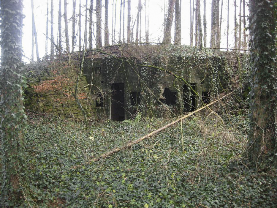 Ligne Maginot - Vue sur les 2 alveoles -  - Pruzsina Jerome
