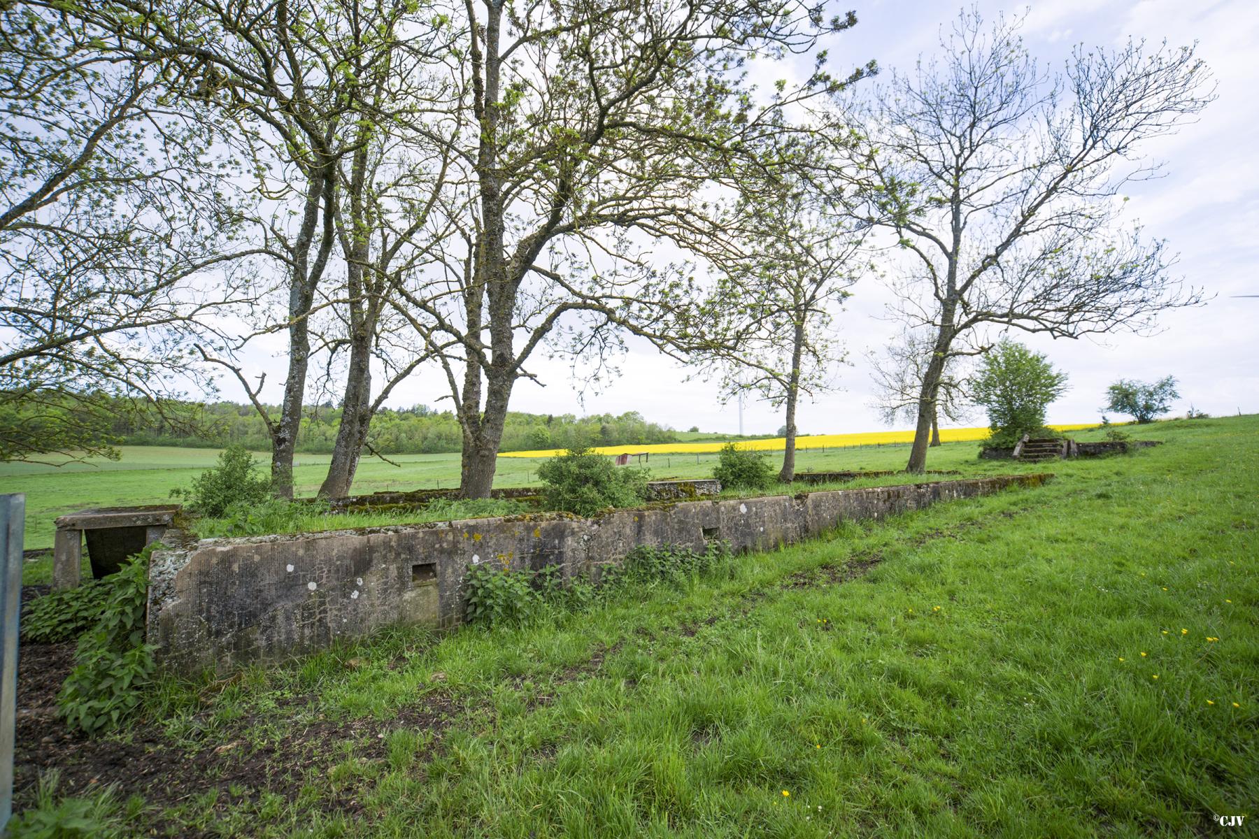 Ligne Maginot - TAPPE - ANGUILLE - (Casernement) -  - Lia VERMEULEN