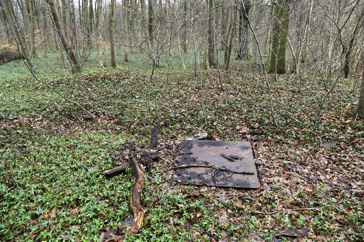 Ligne Maginot - 14L - (Chambre de coupure) -  - Alain Perouffe