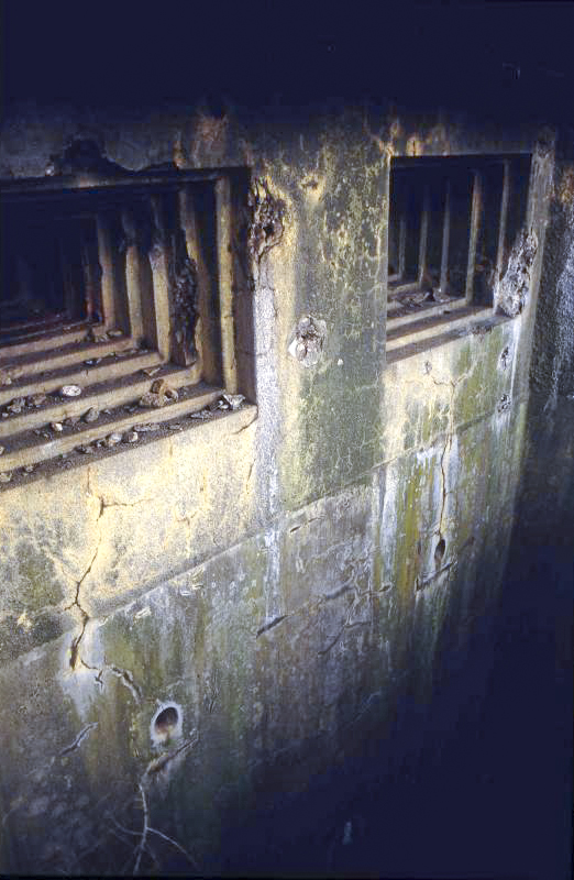Ligne Maginot - BOIS DU FOUR - A5 - (Ouvrage d'infanterie) - Les créneaux des chambres de tir Ouest - Valentin Hemmert