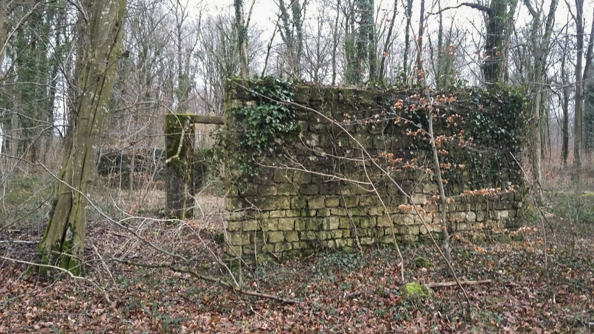 Ligne Maginot - BOURENE - (Casernement) - Ruine du casernement - Jeremy ROUX