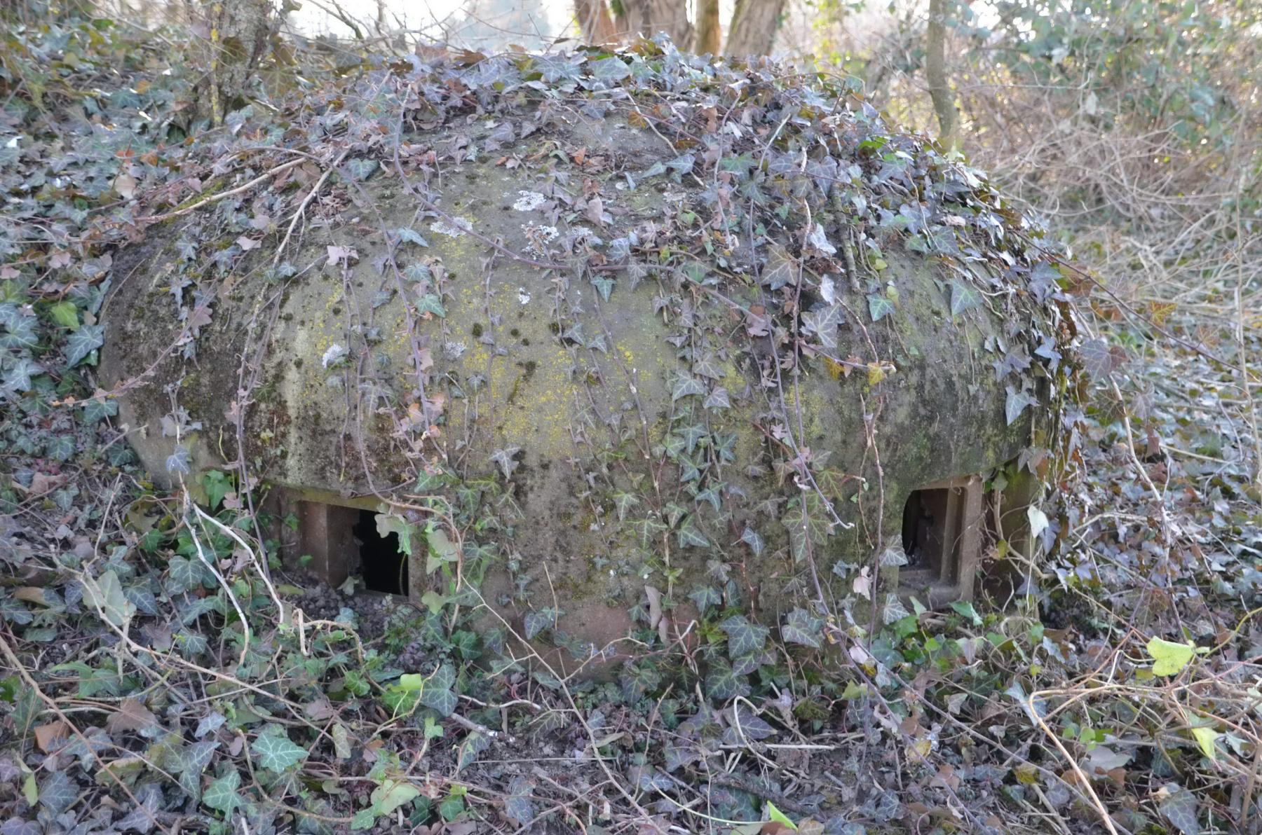 Ligne Maginot - 34/2 - CHALAMPE NORD OUEST - (Casemate d'infanterie - Double) - Cloche GFM nord - D. Froehly