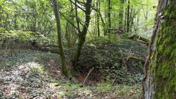 Ligne Maginot - SCHAFBUSCH - (PC de Sous-Quartier) - Le deuxième alvéole, plus bas