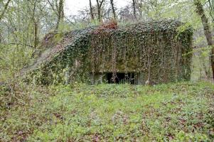 Ligne Maginot - PA DU CARREFOUR 248-1 - (Blockhaus pour canon) - Façade frontale 