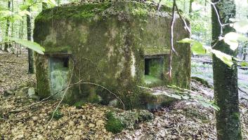 Ligne Maginot - FM52 - VERLORENERBACH 3 - (Blockhaus pour arme infanterie) - Façade 