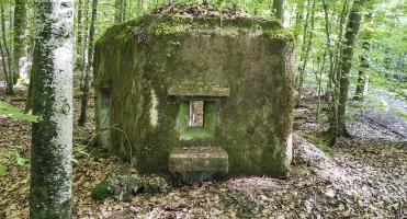 Ligne Maginot - FM52 - VERLORENERBACH 3 - (Blockhaus pour arme infanterie) - Façade