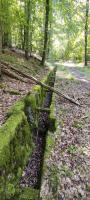 Ligne Maginot - VERLORENERBACH - (DMP - Dispositif de Mine Permanent) - Aménagements bétonnés pour cette route militaire de secours 