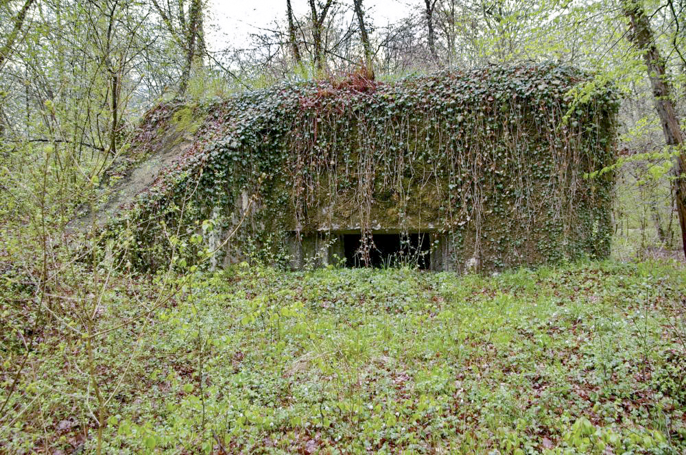 Ligne Maginot - PA DU CARREFOUR 248-1 - (Blockhaus pour canon) - Façade frontale  - D.Froehly