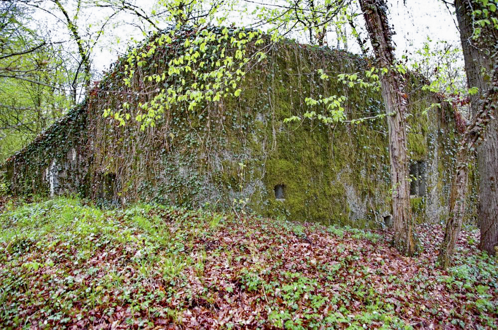 Ligne Maginot - PA DU CARREFOUR 248-1 - (Blockhaus pour canon) - Façade nord-est - D.Froehly