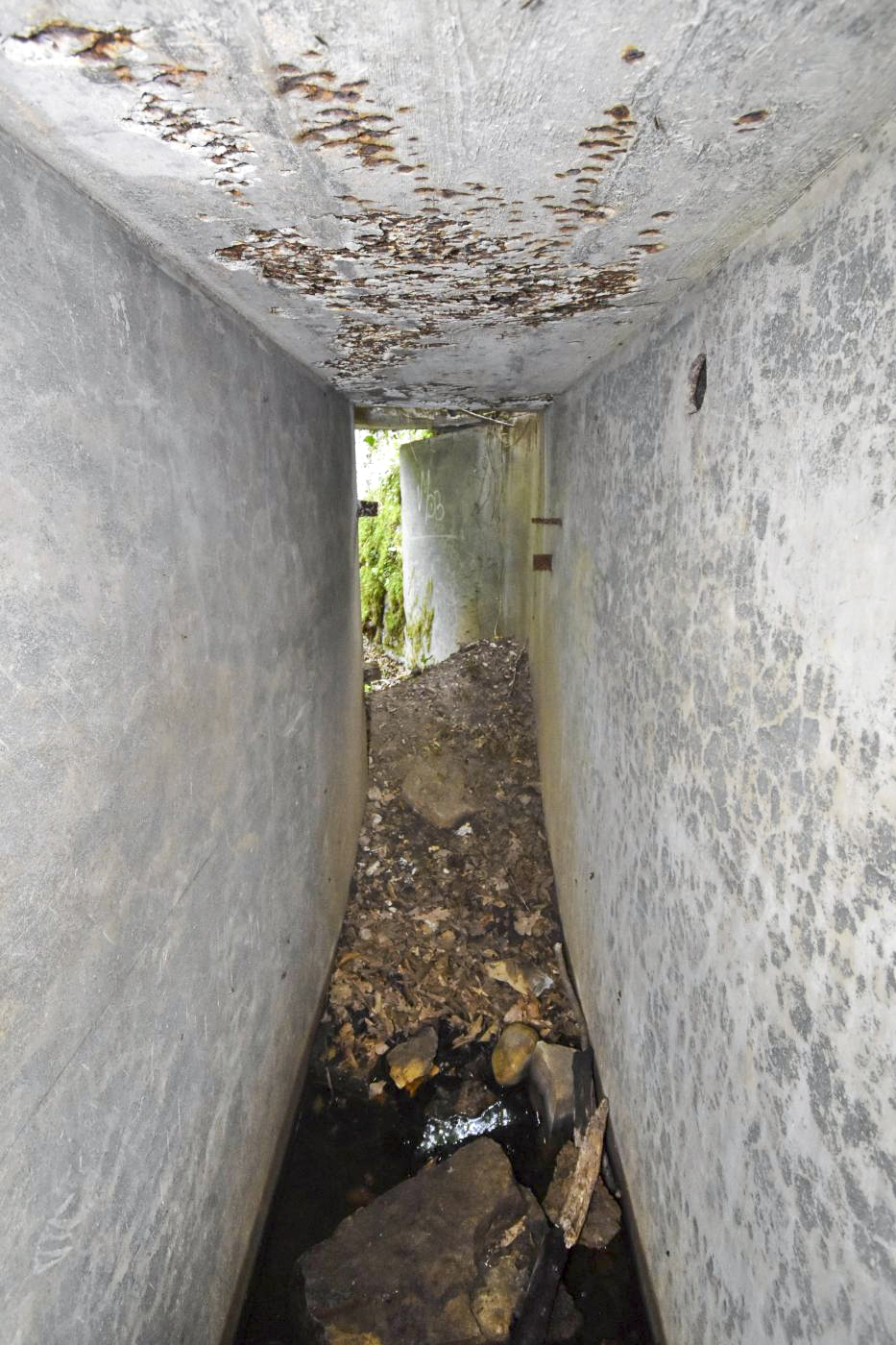 Ligne Maginot - T493 - PA DU CARREFOUR 248 - (Cuve pour arme d'infanterie) - Couloir d'accès vu vers l'entrée - Daniel Froehly