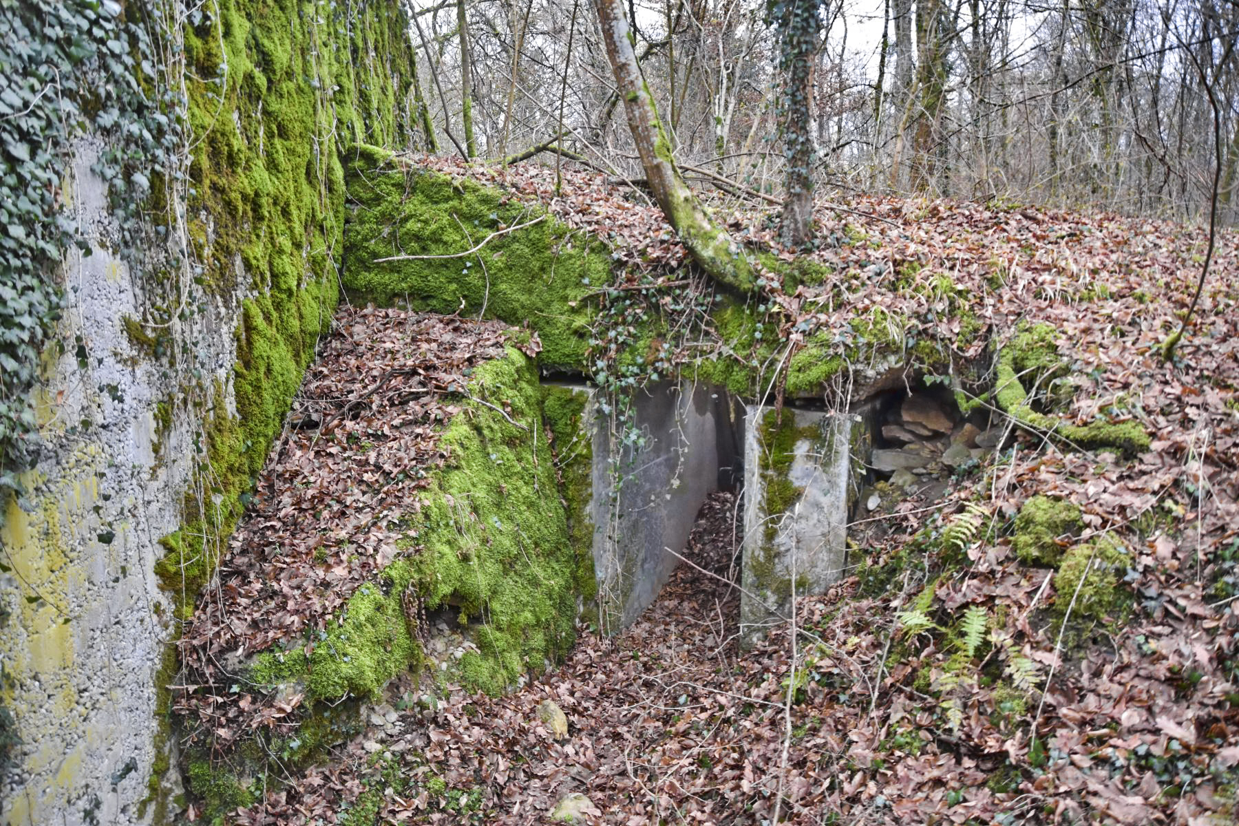 Ligne Maginot - T493 - PA DU CARREFOUR 248 - (Cuve pour arme d'infanterie) - L'entrée du blockhaus T493 contre le blockhaus antichar 248-1 - D.Froehly