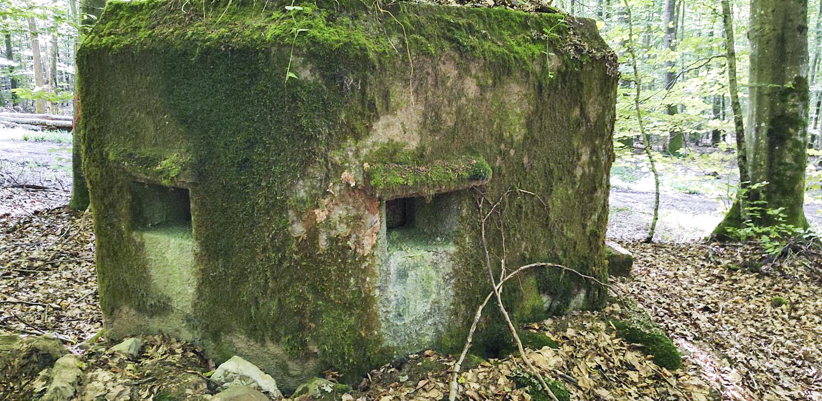 Ligne Maginot - FM52 - VERLORENERBACH 3 - (Blockhaus pour arme infanterie) - Façade  - J.L
