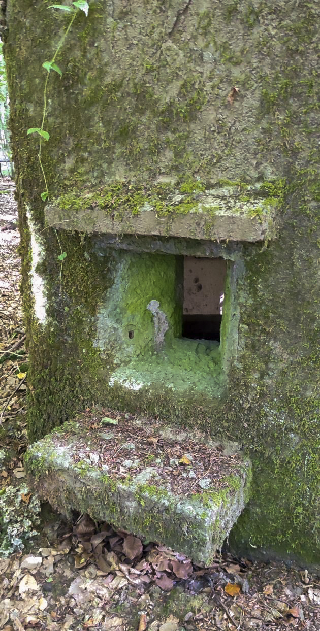 Ligne Maginot - FM52 - VERLORENERBACH 3 - (Blockhaus pour arme infanterie) - Façade avant - J.L