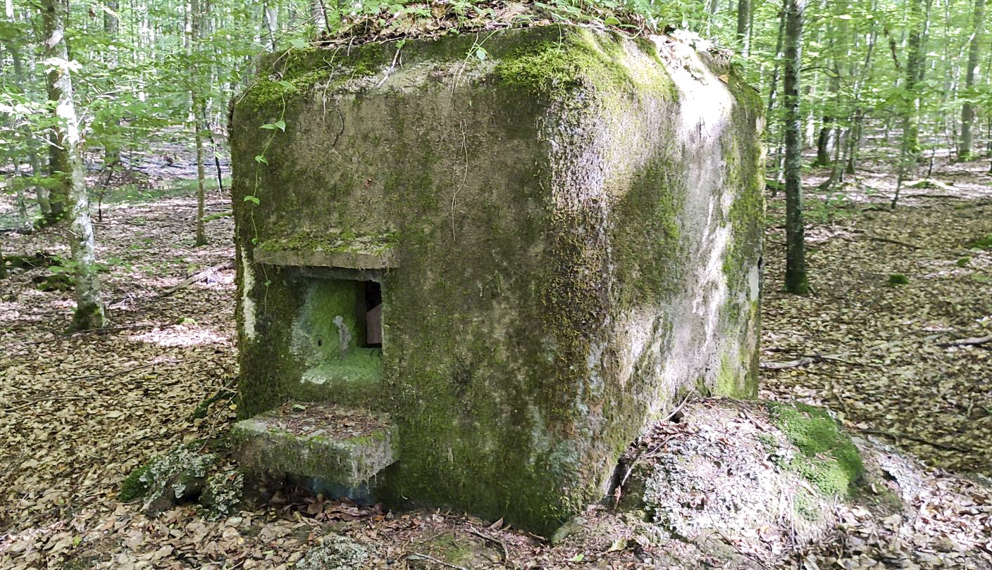 Ligne Maginot - FM52 - VERLORENERBACH 3 - (Blockhaus pour arme infanterie) - Façade  - J.L