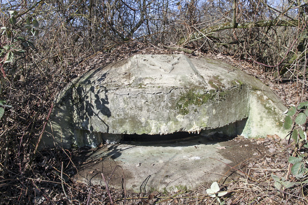 Ligne Maginot - MOULIN DE DESSENHEIM 2 - (Blockhaus pour arme infanterie) - La coupole avec sa plaque du 4ème BCP - Alain Perouffe