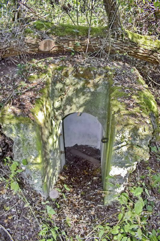 Ligne Maginot - MOULIN DE DESSENHEIM 2 - (Blockhaus pour arme infanterie) - Entrée Ouest - D.Froehly