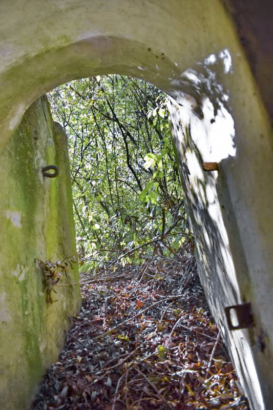 Ligne Maginot - MOULIN DE DESSENHEIM 2 - (Blockhaus pour arme infanterie) - Entrée ouest - D.Froehly