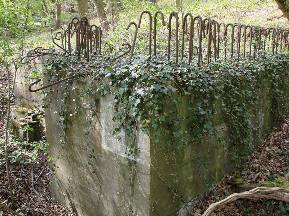 Ligne Maginot - CB150 - HASDORFEROD NORD - (Blockhaus pour arme infanterie) -  - Schnoupf