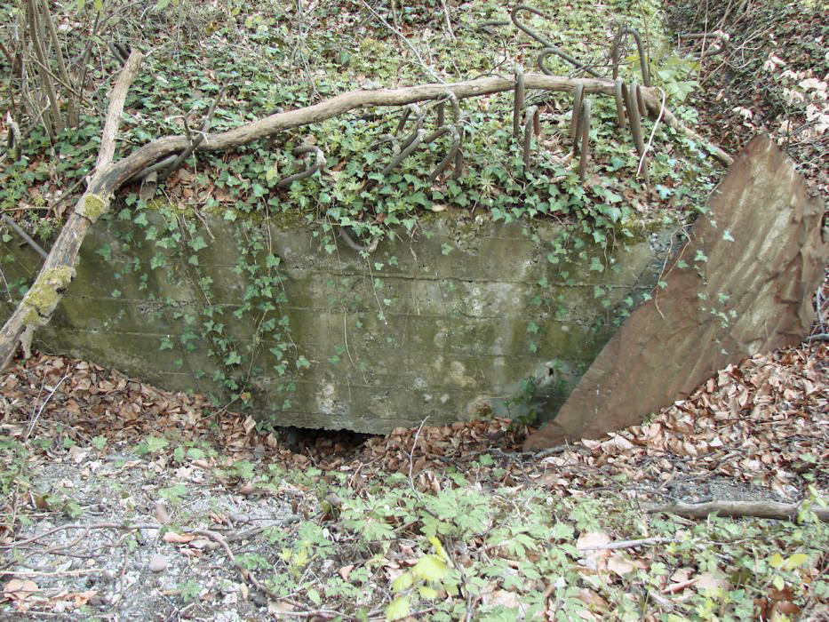 Ligne Maginot - CB150 - HASDORFEROD NORD - (Blockhaus pour arme infanterie) -  - Schnoupf