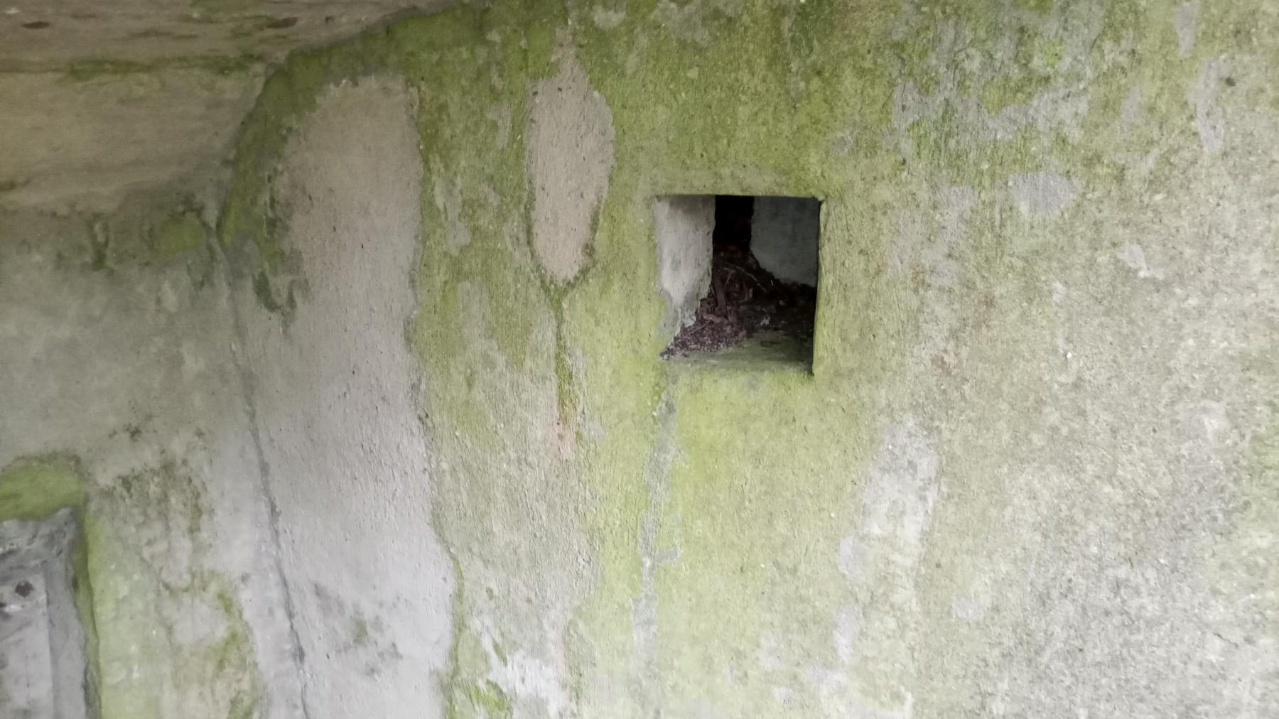 Ligne Maginot - BBO10 - (Blockhaus pour canon) -  - Marc Fossoul