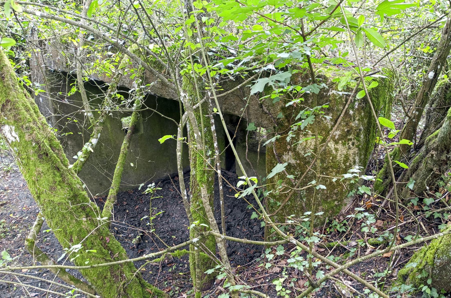 Ligne Maginot - BBO10 - (Blockhaus pour canon) -  - Marc Fossoul